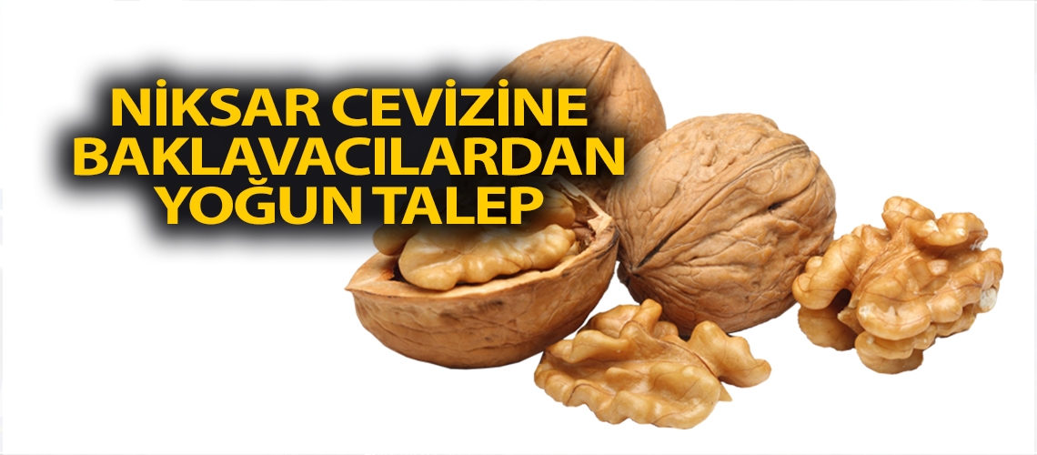 Niksar cevizine baklavacılardan yoğun talep