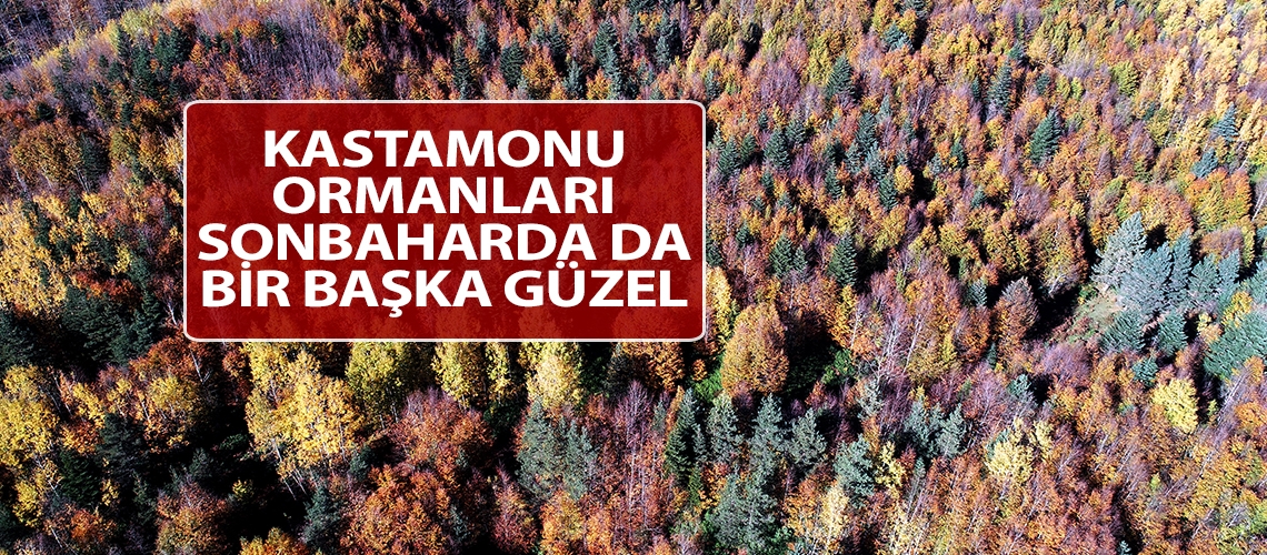 Kastamonu ormanları sonbaharda da bir başka güzel