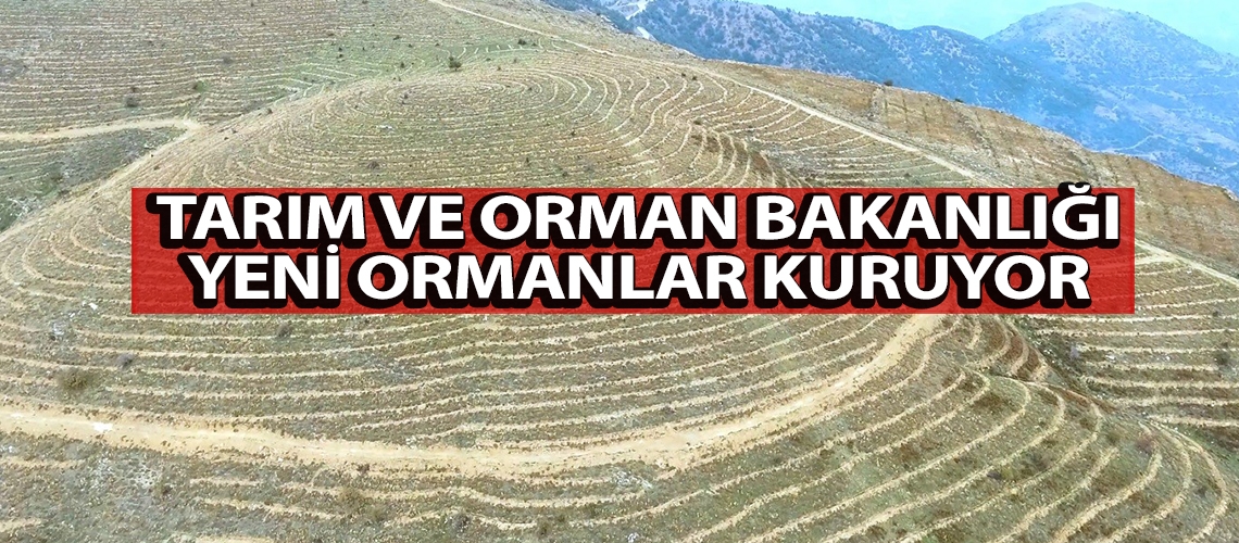 Tarım ve Orman Bakanlığı yeni ormanlar kuruyor