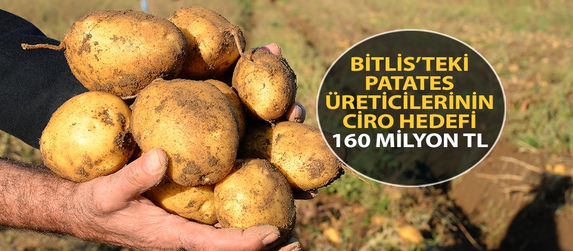 Bitlis’teki patates üreticilerinin ciro hedefi 160 milyon TL