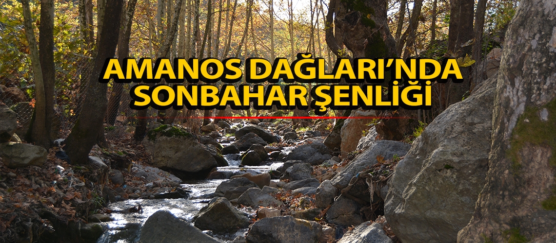 Amanos Dağları’nda sonbahar şenliği