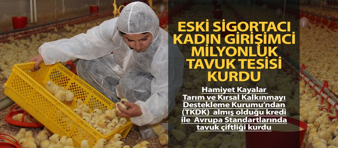 Eski sigortacı kadın girişimci milyonluk tavuk tesisi kurdu