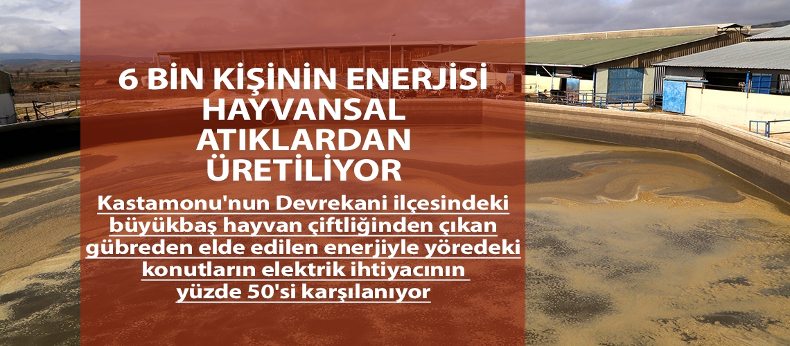 6 bin kişinin enerjisi hayvansal atıklardan üretiliyor