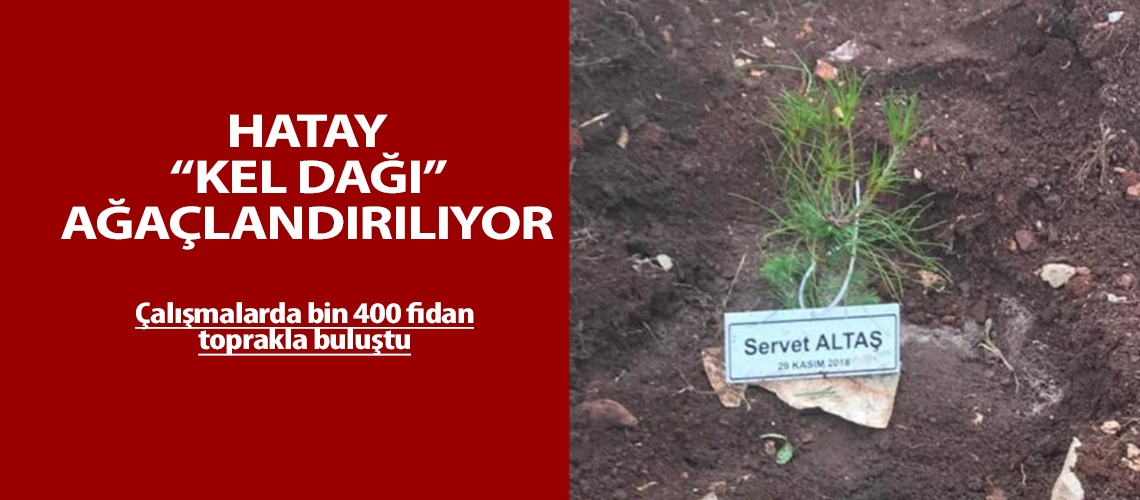 Hatay Kel Dağı ağaçlandırılıyor