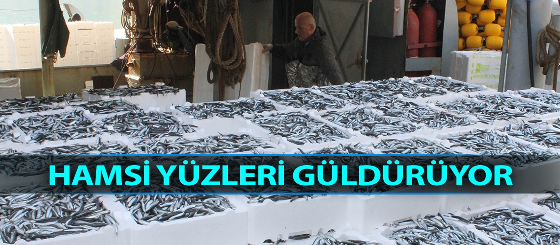 Hamsi yüzleri güldürüyor