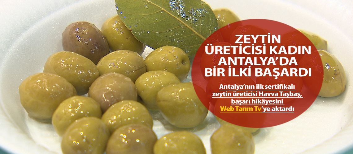 Zeytin üreticisi kadın Antalya’da bir ilki başardı