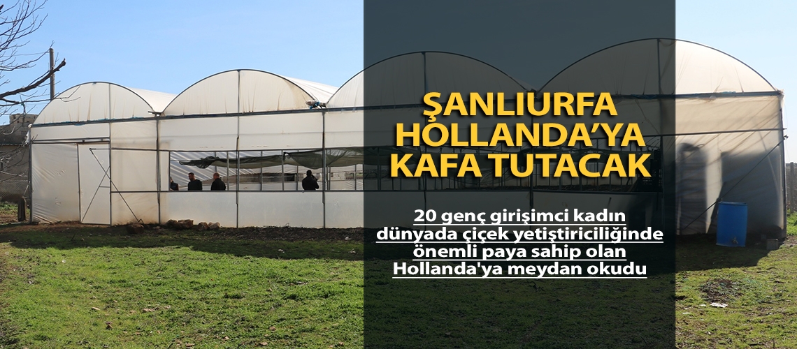 Şanlıurfa Hollanda’ya kafa tutacak