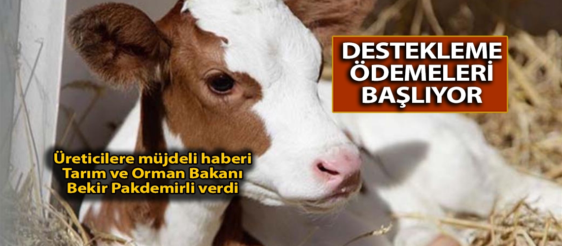 Destekleme ödemeleri başlıyor