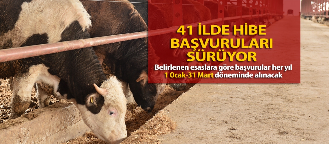 41 ilde hibe başvuruları sürüyor