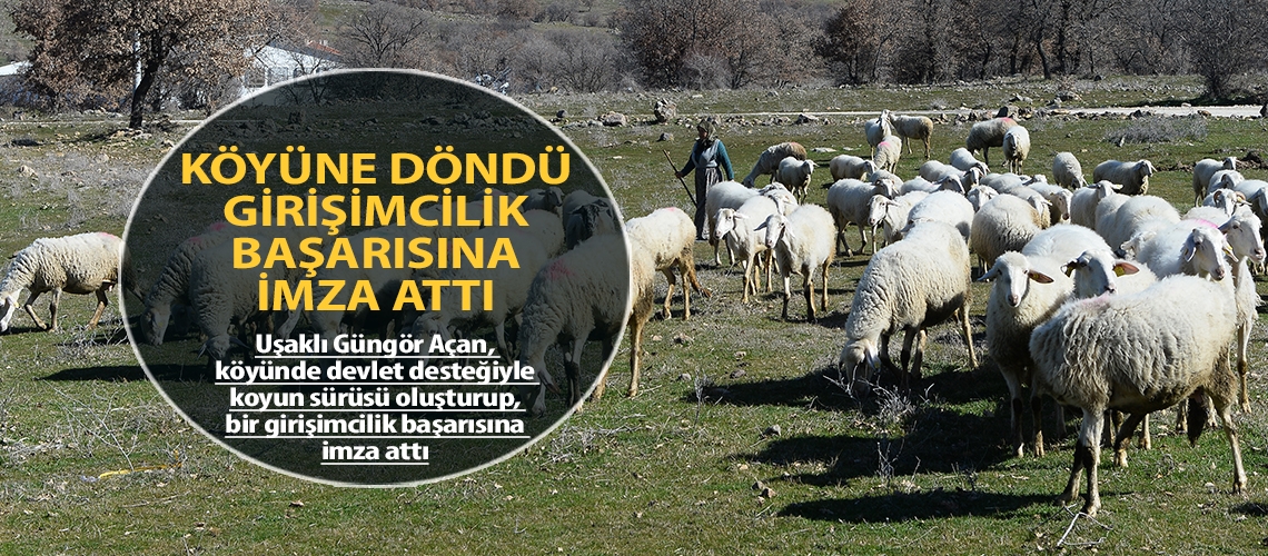 Köyüne döndü girişimcilik başarısına imza attı