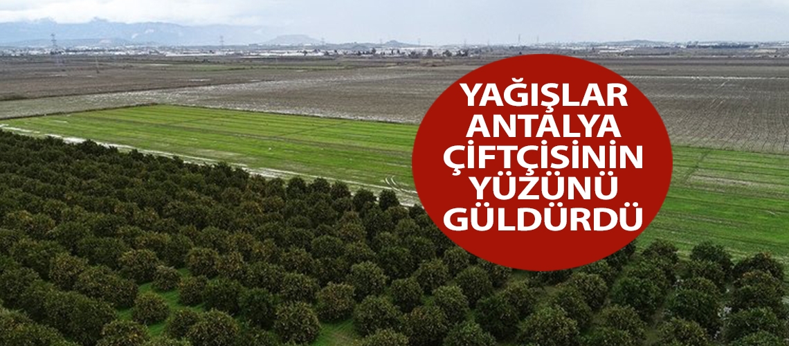 Yağışlar Antalya çiftçisinin yüzünü güldürdü