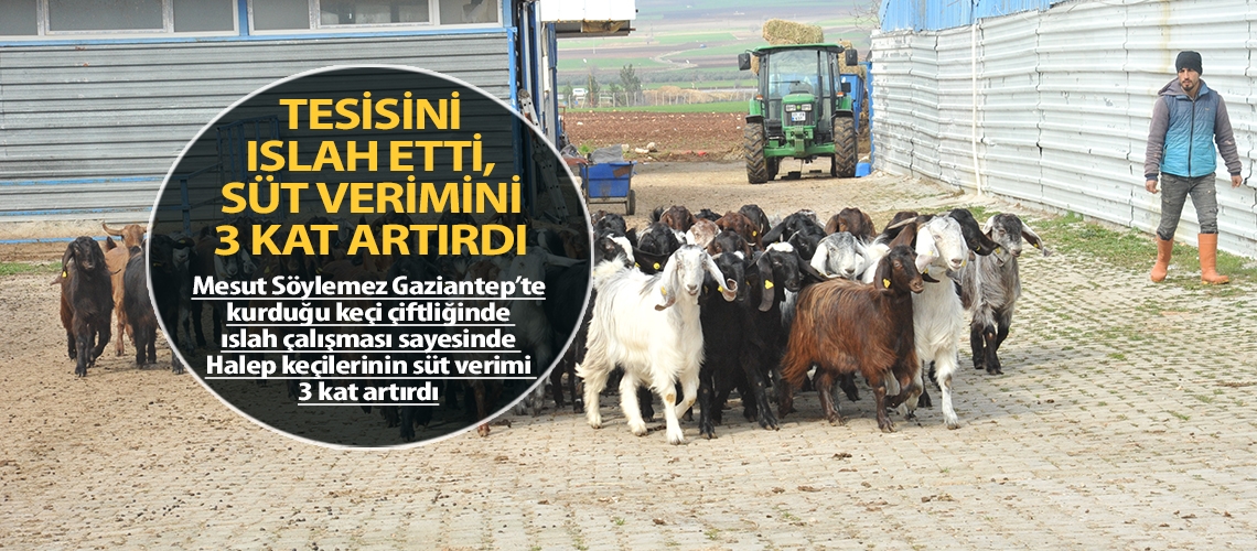 Tesisini ıslah etti, süt verimini 3 kat artırdı