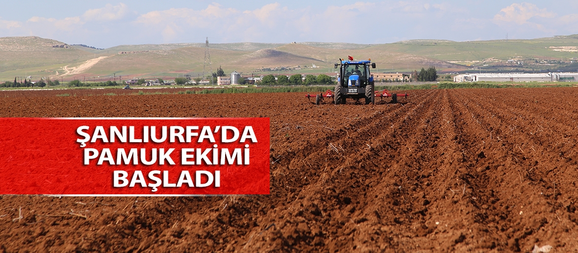 Şanlıurfa’da pamuk ekimi başladı