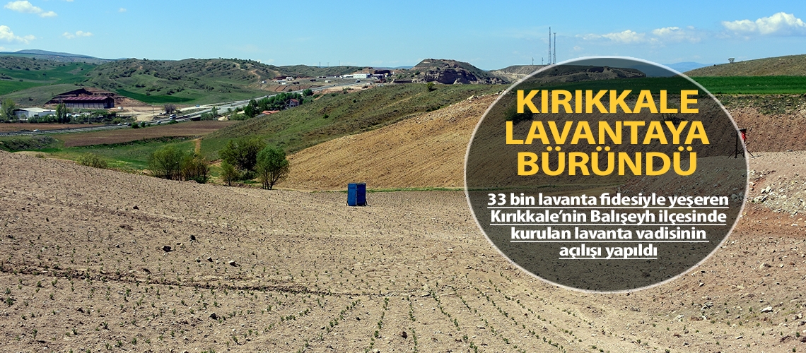 Kırıkkale lavantaya büründü