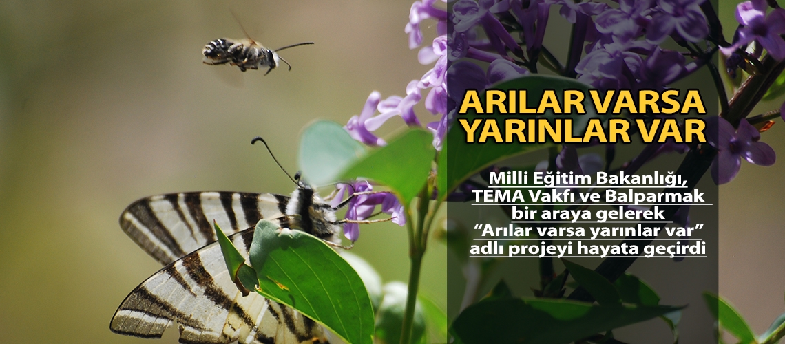 Arılar varsa yarınlar var