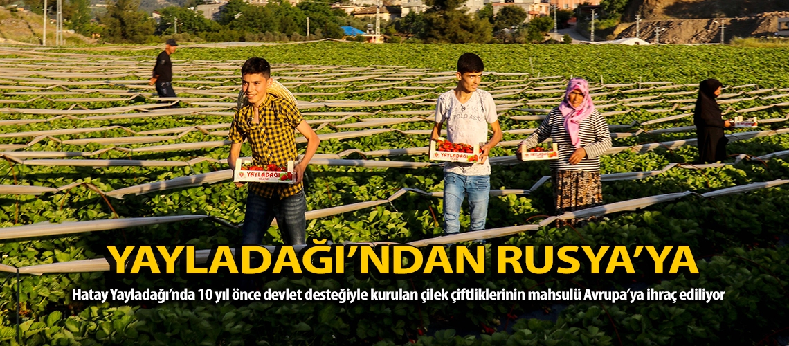 Yayladağı’ndan Rusya’ya