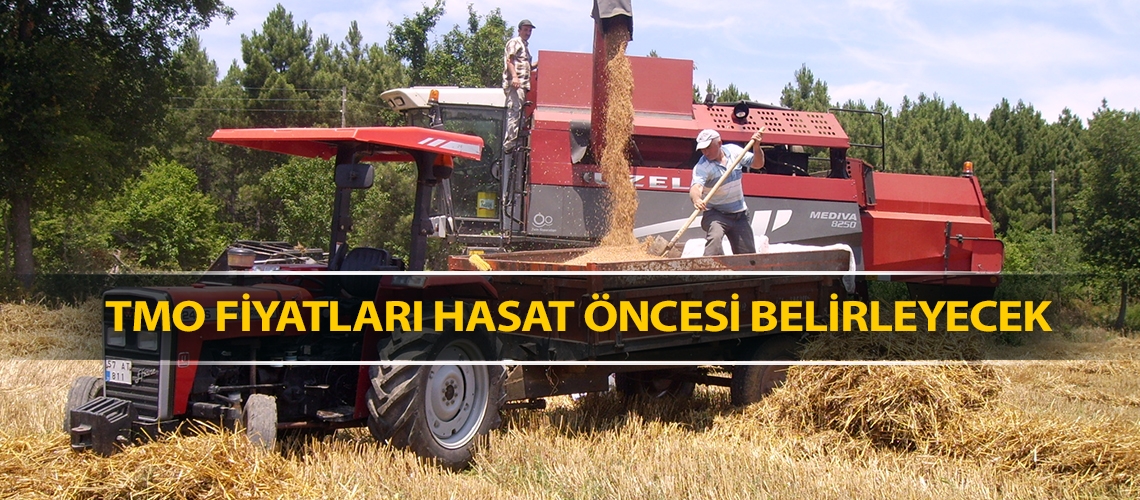 TMO fiyatları hasat öncesi belirleyecek