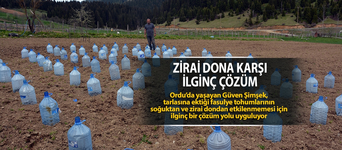 Zirai dona karşı ilginç çözüm