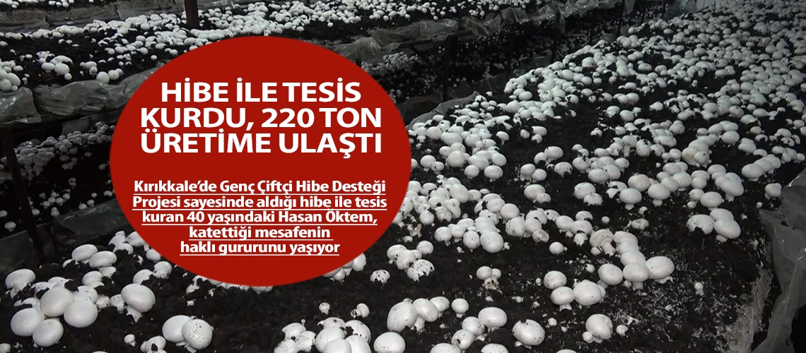 Hibe ile tesis kurdu, 220 ton üretime ulaştı