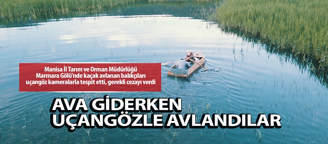 Ava giderken uçangözle avlandılar