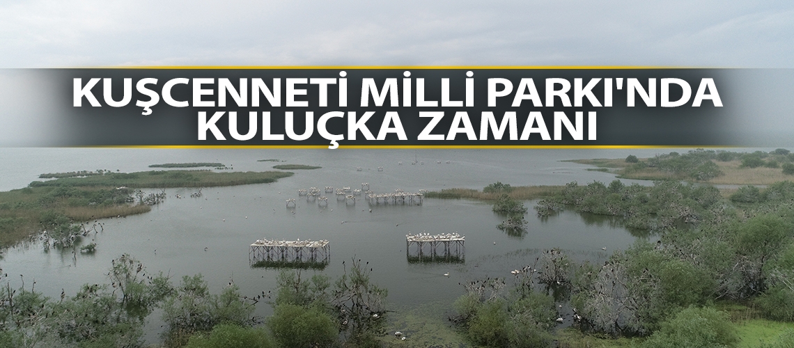 Kuşcenneti Milli Parkı'nda kuluçka zamanı