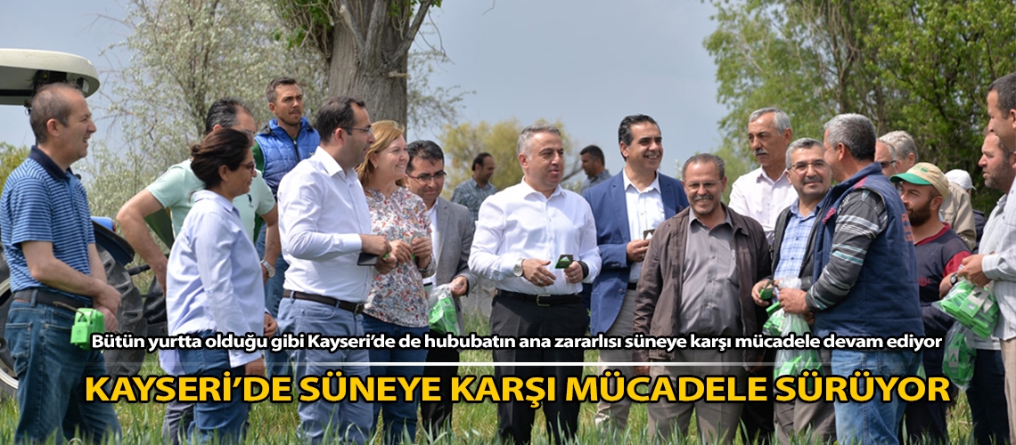 Kayseri’de süneye karşı mücadele sürüyor