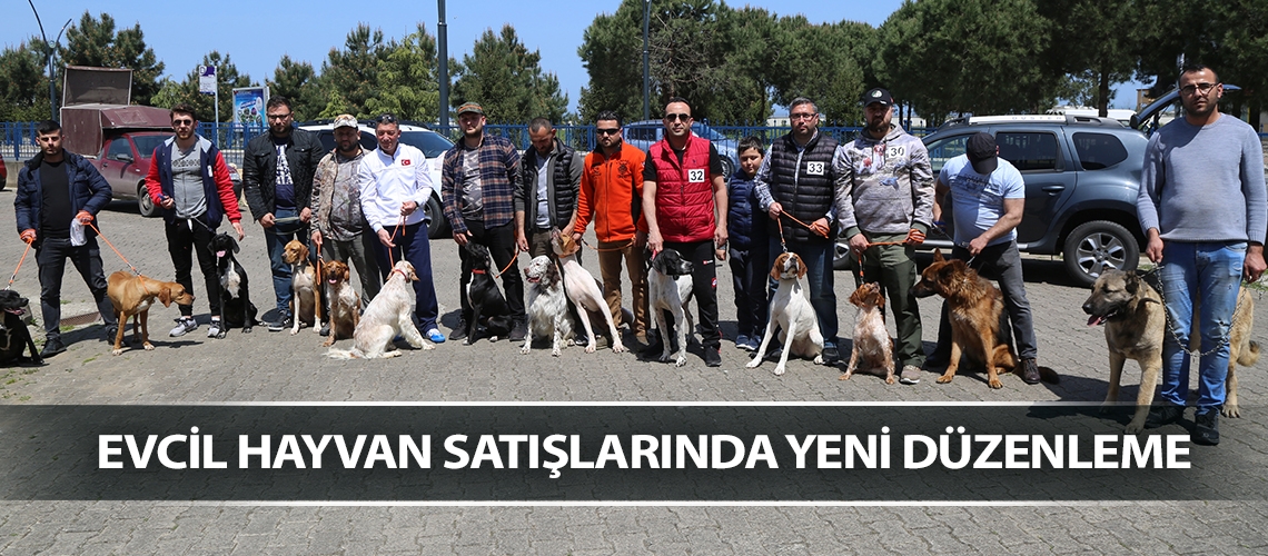 Evcil hayvan satışlarında yeni düzenleme