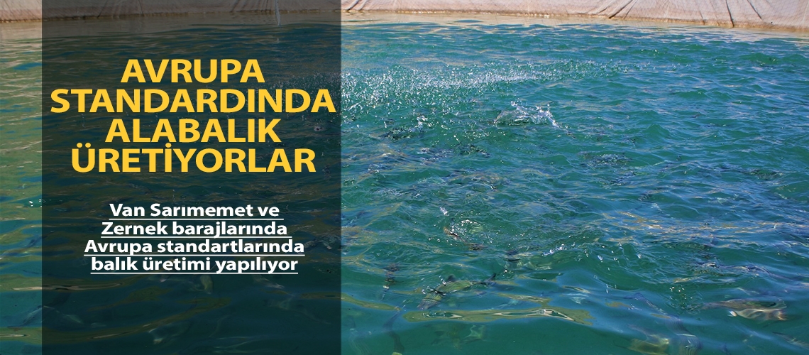 Avrupa standardında alabalık üretiyorlar