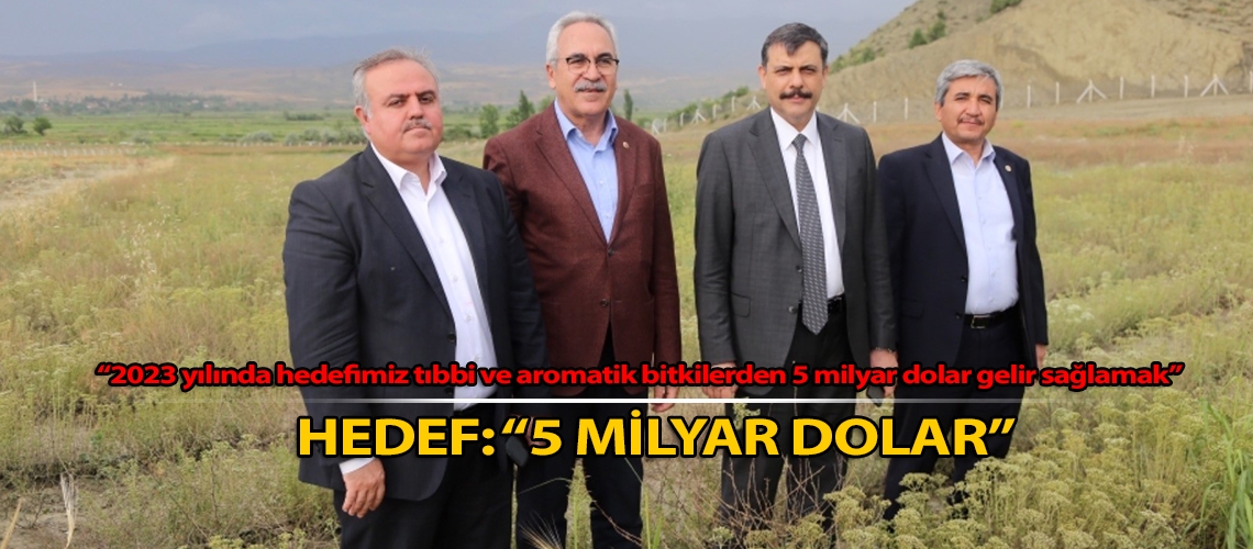 Hedef: 5 milyar dolar