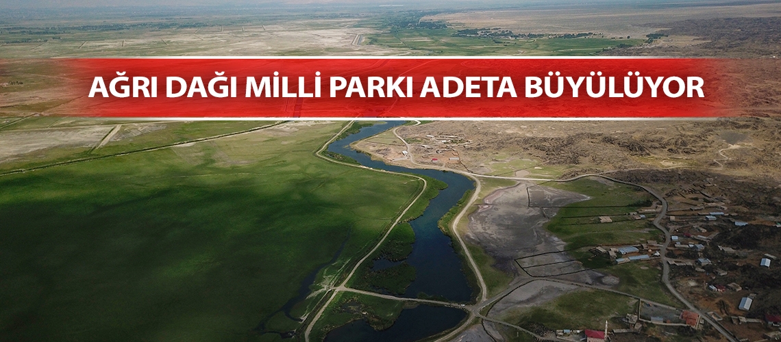 Ağrı Dağı Milli Parkı adeta büyülüyor