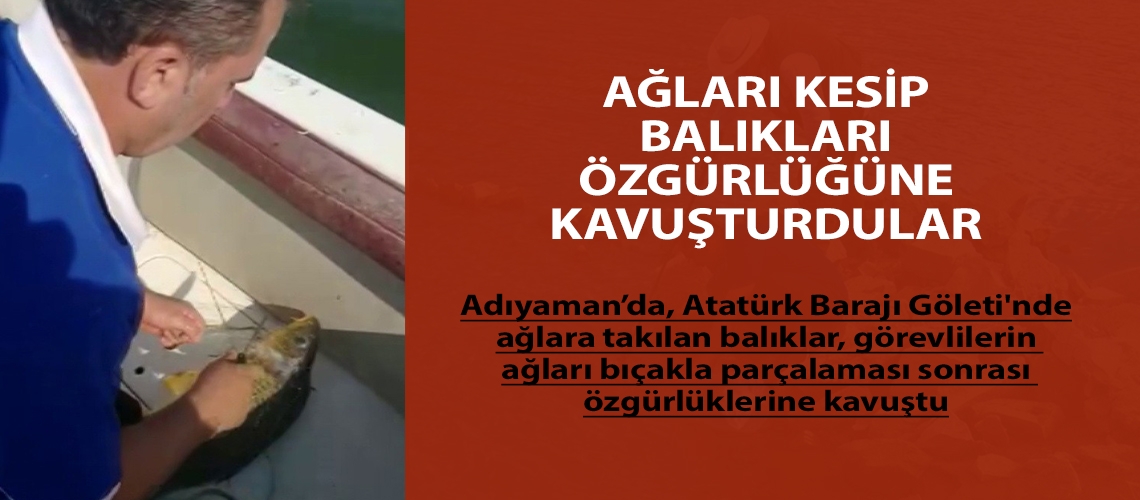 Ağları kesip balıkları özgürlüğüne kavuşturdular