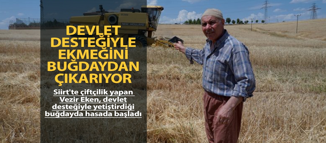 Devlet desteğiyle ekmeğini buğdaydan çıkarıyor