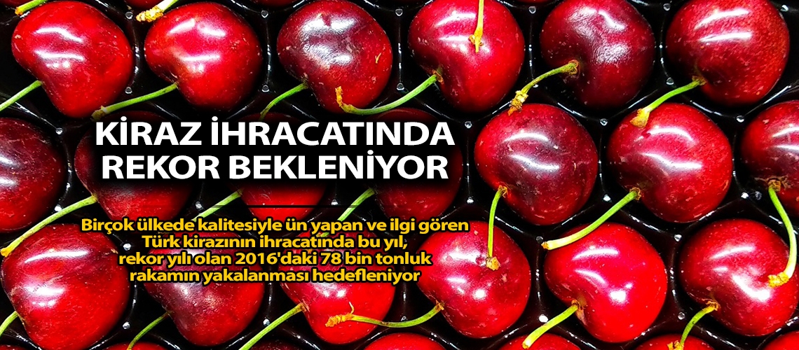 Kiraz ihracatında rekor bekleniyor