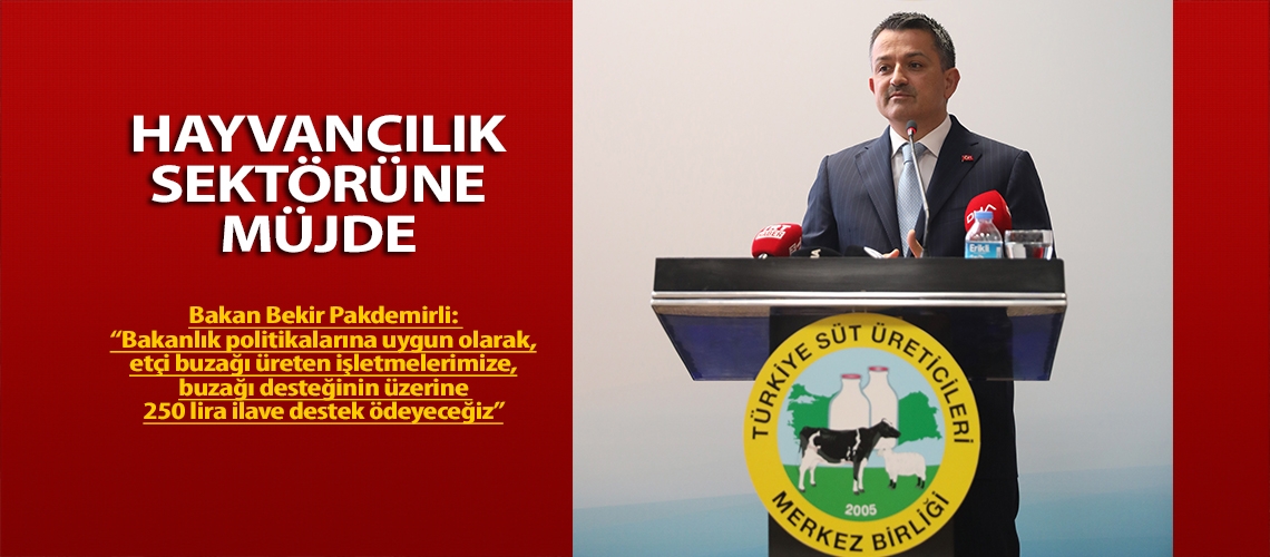 Hayvancılık sektörüne müjde