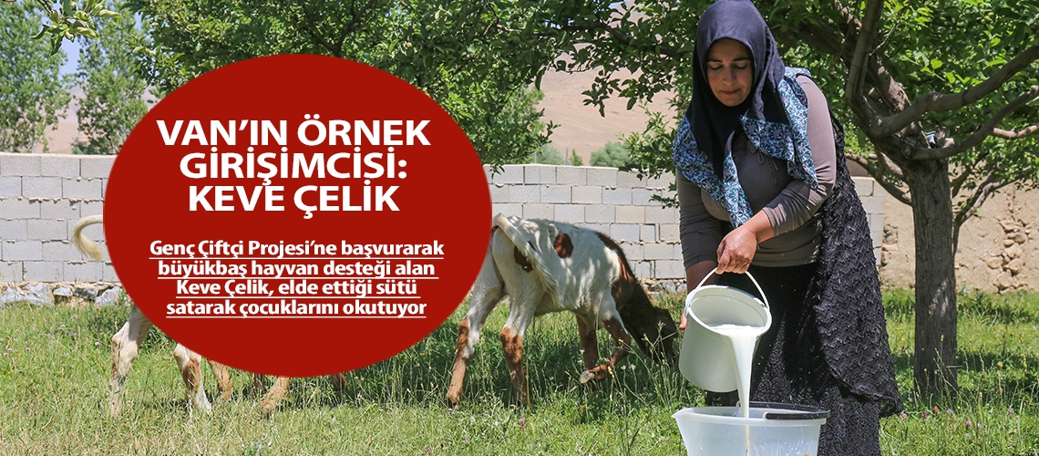 Van’ın örnek girişimcisi: Keve Çelik