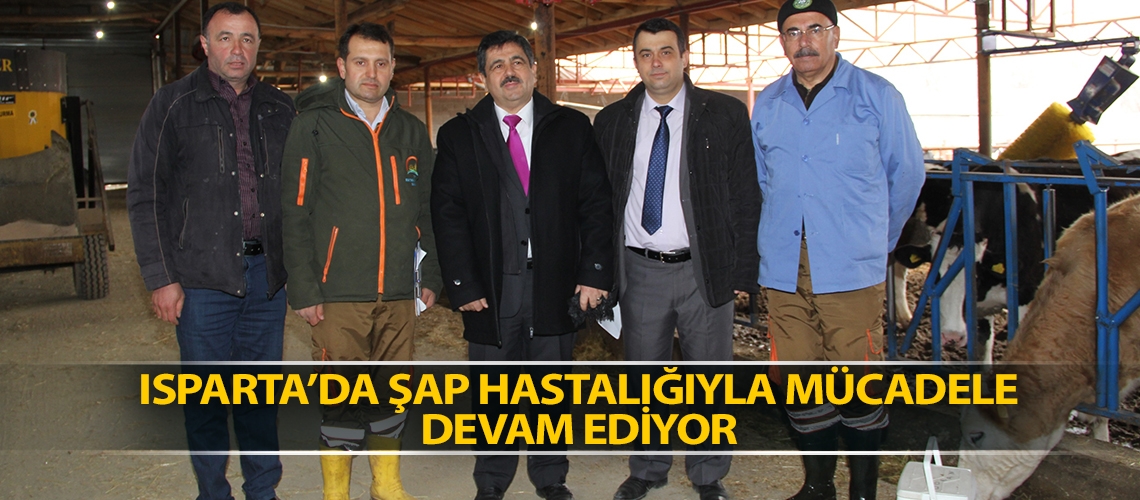 Isparta’da şap hastalığıyla mücadele devam ediyor