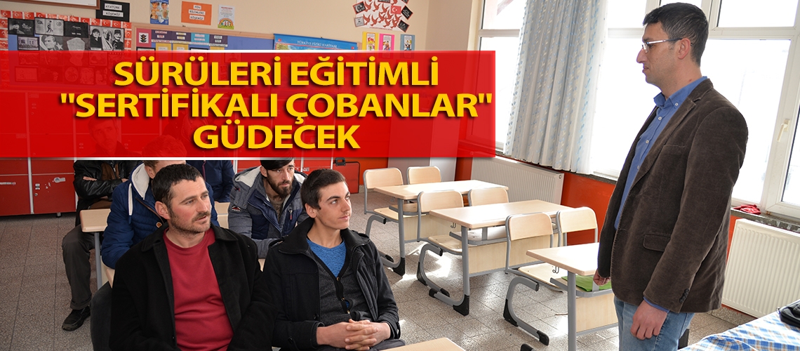 Sürüleri eğitimli 