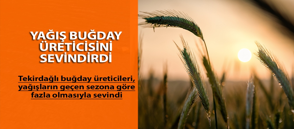 Yağış buğday üreticisini sevindirdi