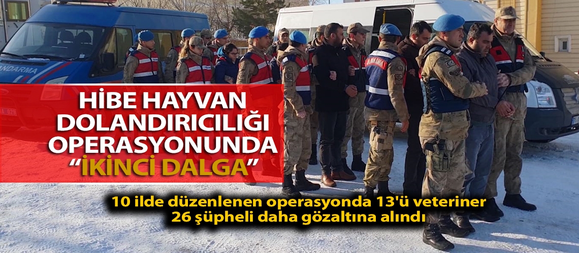 Hibe hayvan dolandırıcılığı operasyonunda 