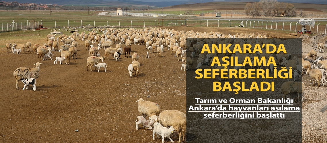 Ankara’da aşılama seferberliği başladı