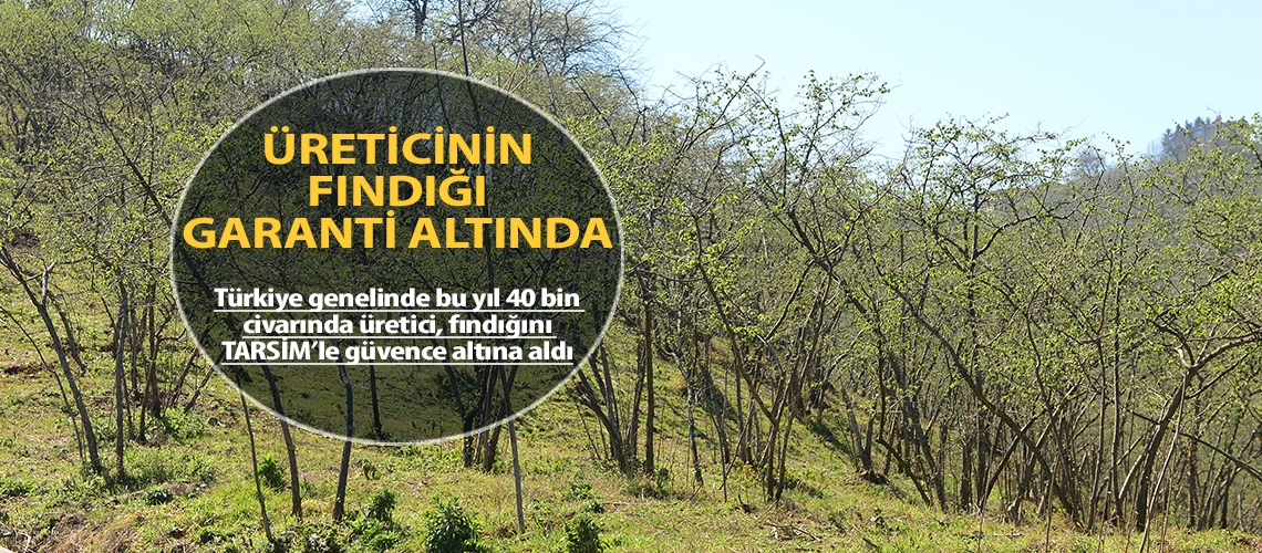 40 bin üreticinin fındığı garanti altında