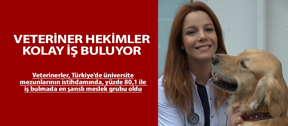 Veteriner hekimler kolay iş buluyor