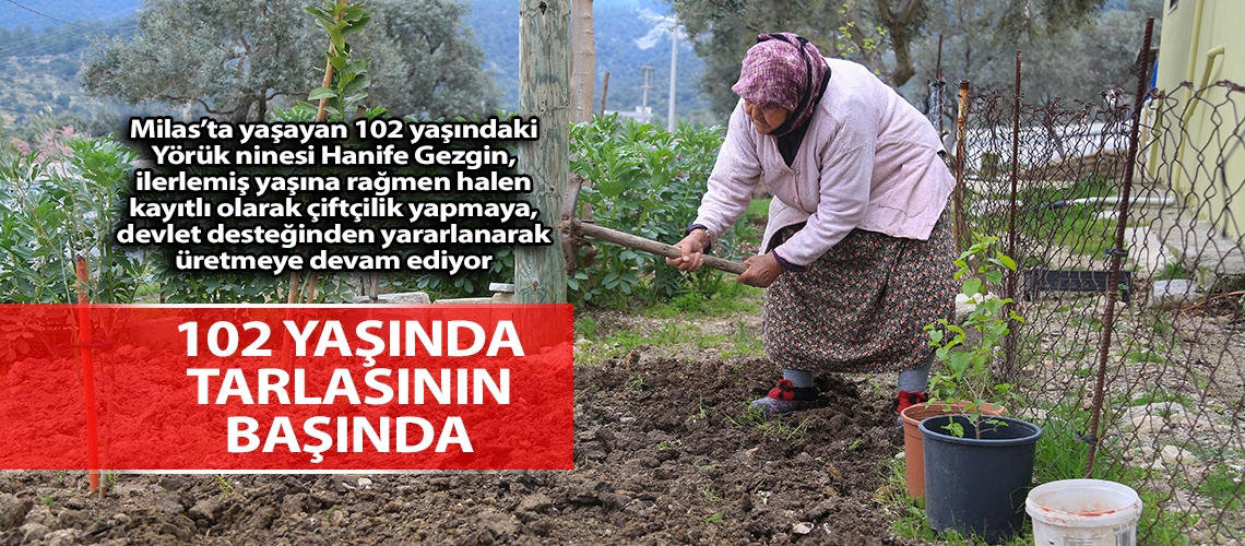 102 yaşında tarlasının başında