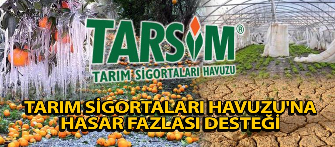 Tarım Sigortaları Havuzu'na hasar fazlası desteği