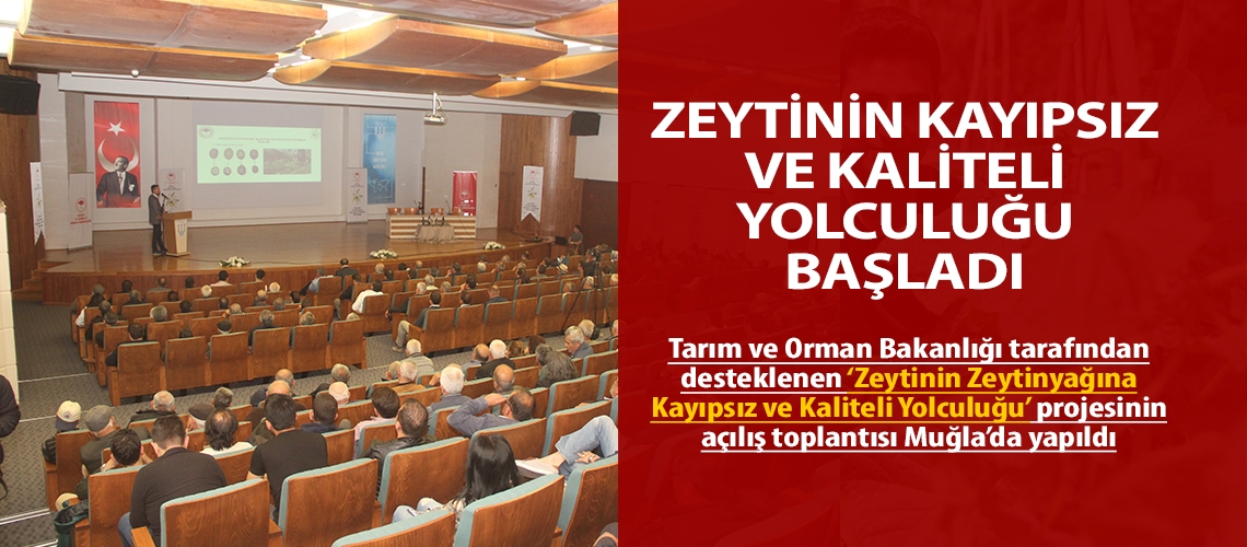 Zeytinin kayıpsız ve kaliteli yolculuğu başladı