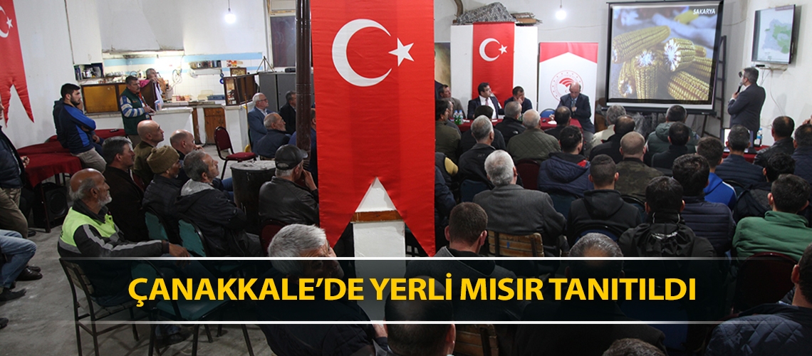 Çanakkale’de yerli mısır tanıtıldı