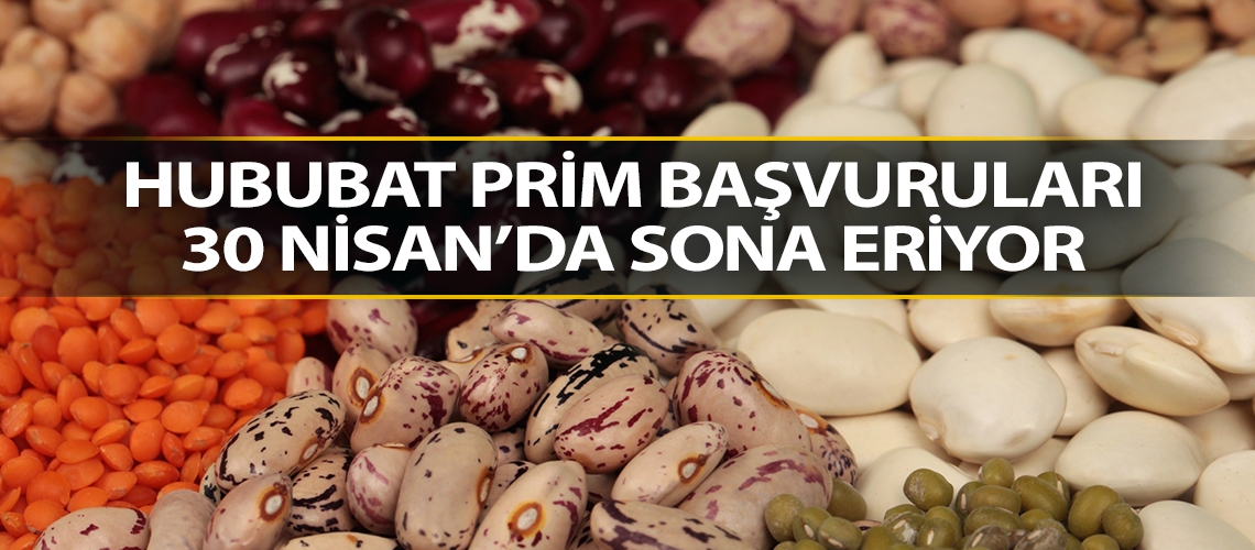 Hububat prim başvuruları 30 Nisan’da sona eriyor