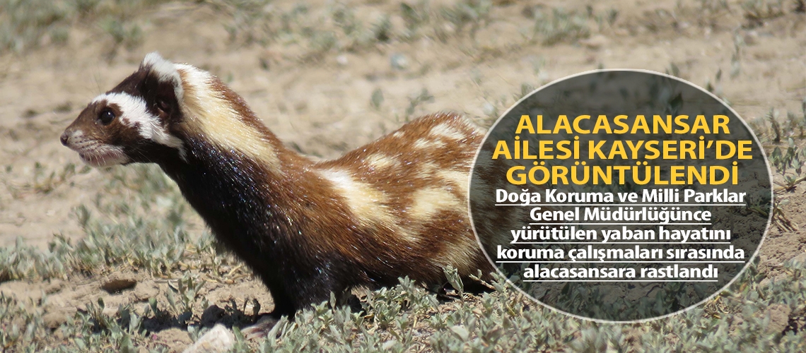 Alacasansar ailesi Kayseri’de görüntülendi