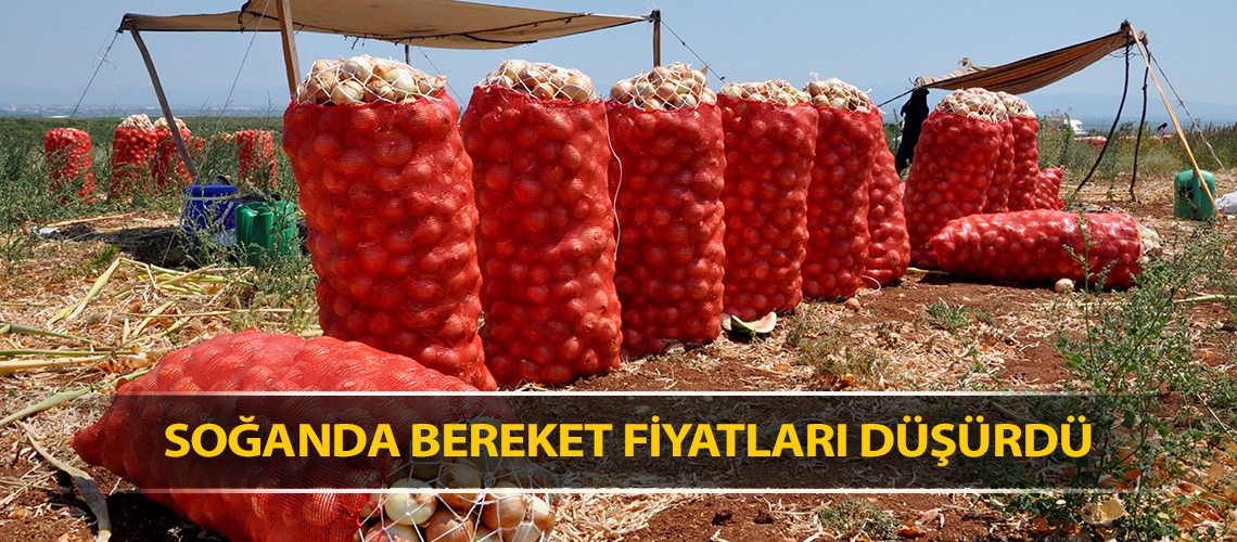 Soğanda bereket fiyatları düşürdü