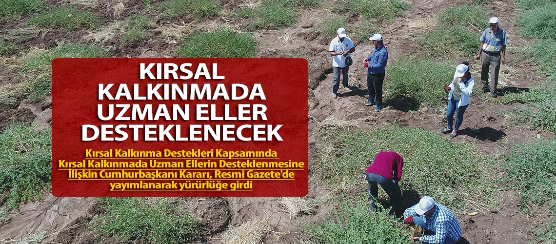 Kırsal kalkınmada uzman eller desteklenecek